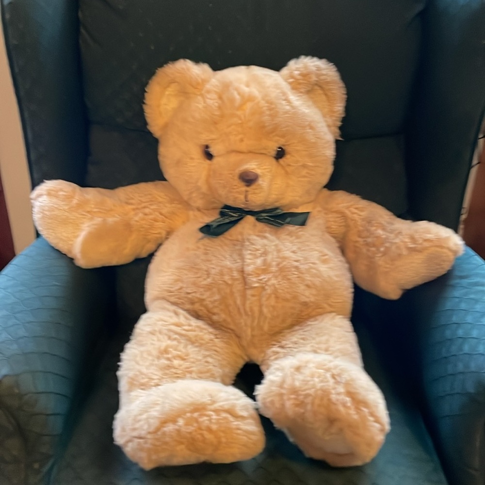 Soft Expressions Large Stuffed Teddy Bear
